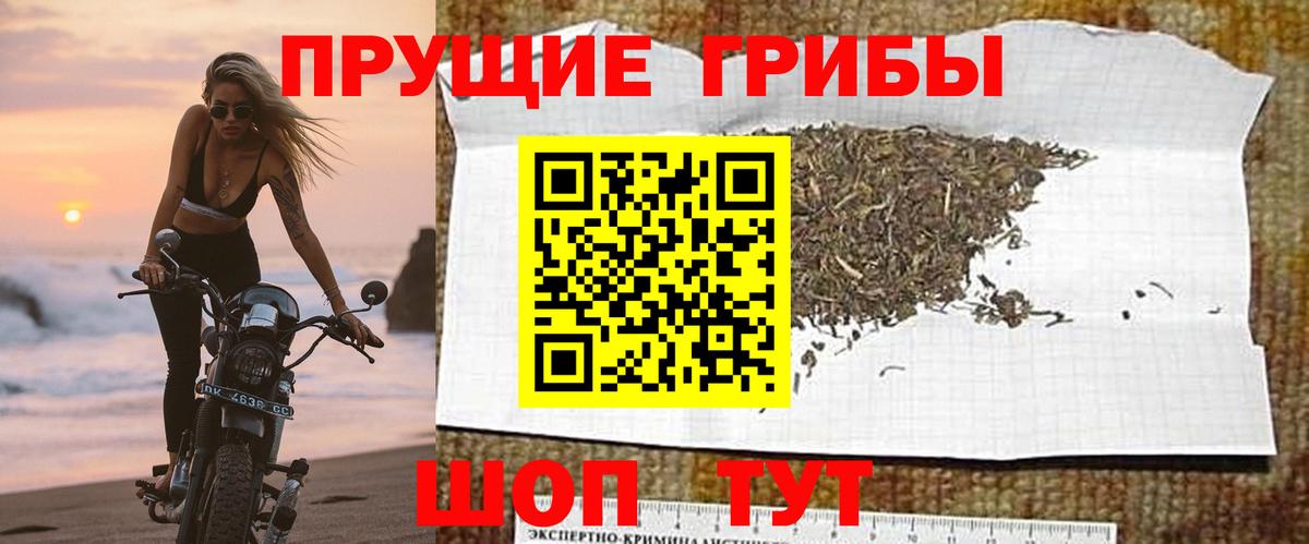 как найти закладки  Вход с VPN  Касимов  Псилоцибиновые грибы Psilocybe 